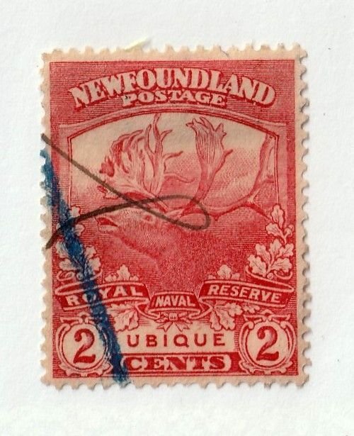 Newfoundland      116     used