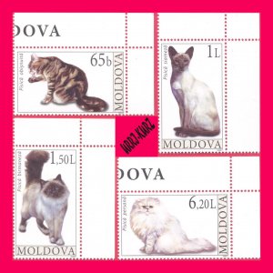 MOLDOVA 2007 Nature Fauna Farm Domestic Animals Pets Cats 4v Sc560-563 MNH