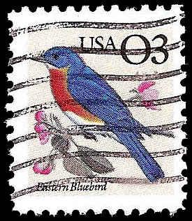 # 2478 USED EASTERN BLUEBIRD