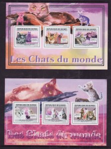 Guinea-2 unused NH sheets-Animals-Cats-British Longhair-2012-