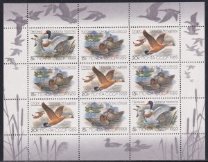 Russia 1989 Sc 5785a Native Ducks Stamp MS MNH