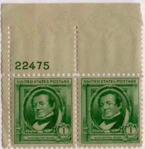 Scott 859 Washington Irving - MNH Pair With Plate Number