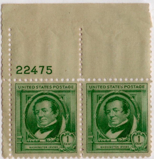 Scott 859 Washington Irving - MNH Pair With Plate Number