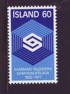 Iceland Sc 501 1977 Cooperative Society stamp mint NH