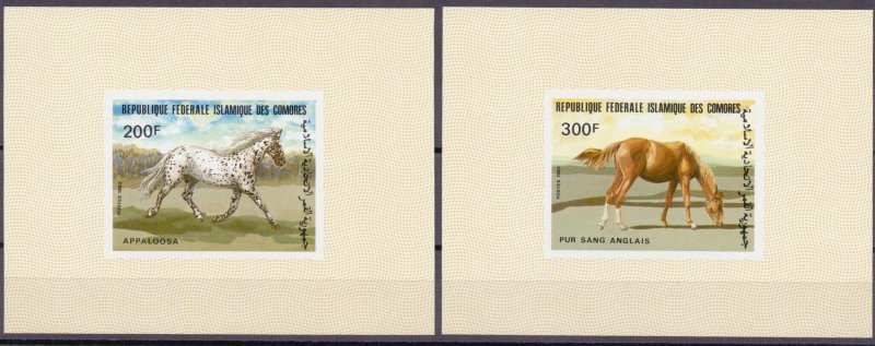 Comoro Islands. 1983. 699-706 8LB. Horses. MNH.