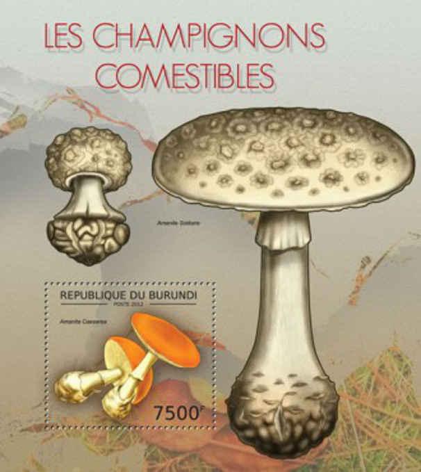 Burundi - Mushrooms - Souvenir Sheet - 2J-425