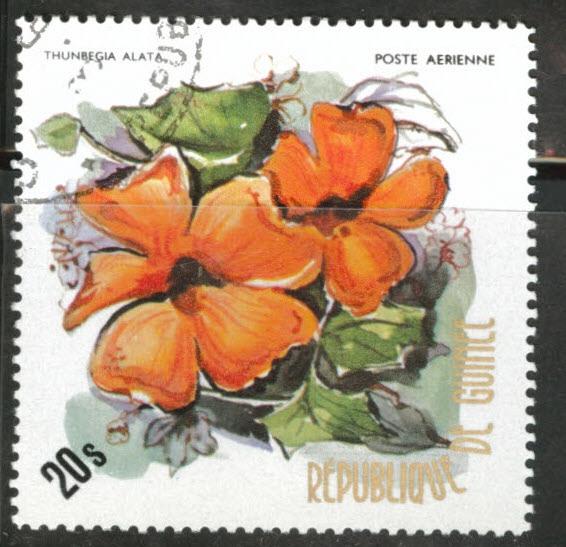Guinea Scott C127 1974 20s Flower stamp CV$0.90 used CTO