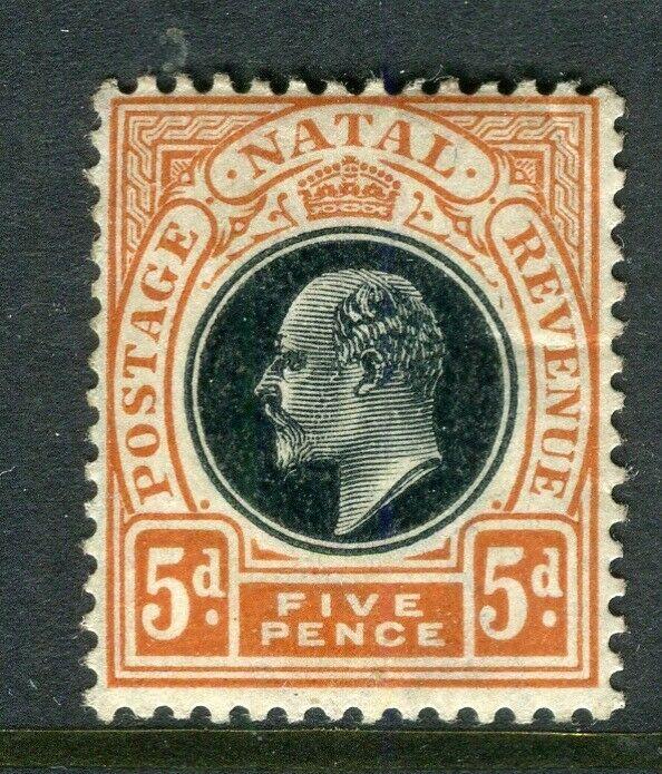 NATAL; 1902 early Ed VII issue fine Mint hinged Shade of the 5d. value