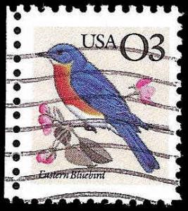 # 2478 USED EASTERN BLUEBIRD