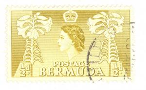 Bermuda  SC# 143   Used Flower