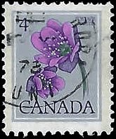 CANADA   #709 USED PERF. 12 X 12.5  (2)