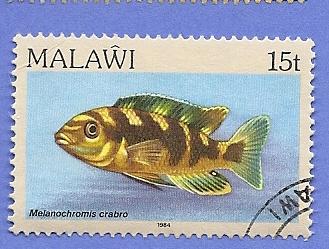 Malawi Scott #433 Fish, used