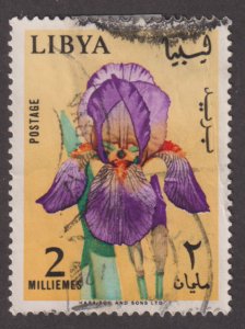 Libya 285 Iris 1965