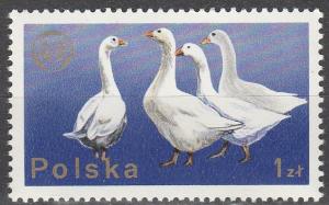 Poland #2098 MNH (S6000)