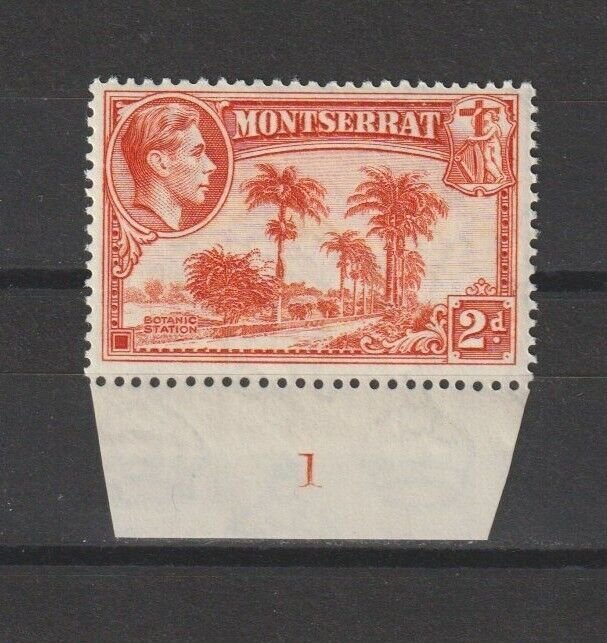 MONTSERRAT 1938/48 SG 104 MNH Cat £25