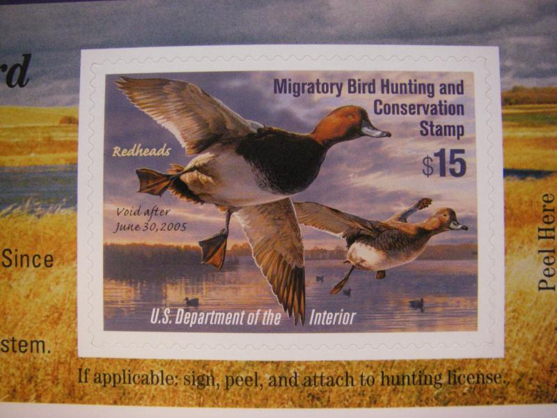 RW71A, $15 Redheads, MNH SA Single, Beautiful Duck Stamp