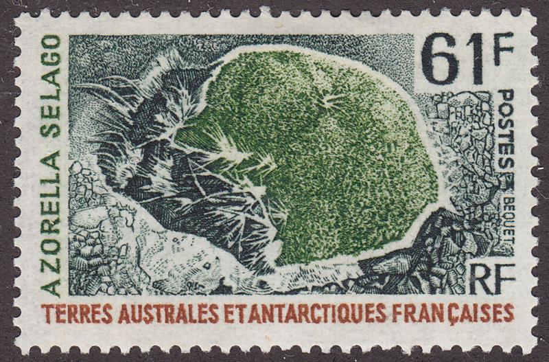 French Southern and Antarctic Territories 55  Azorella Selago 1973