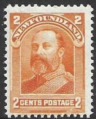 Newfoundland 81   1898   2 cents   fine   unused