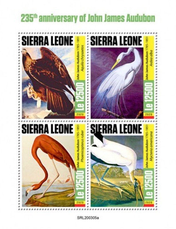 Sierra Leone - 2020 John James Audubon - 4 Stamp Sheet - SRL200305a