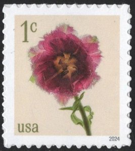 NEW ISSUE: 1¢ Fringed Tulip Single (2024) SA