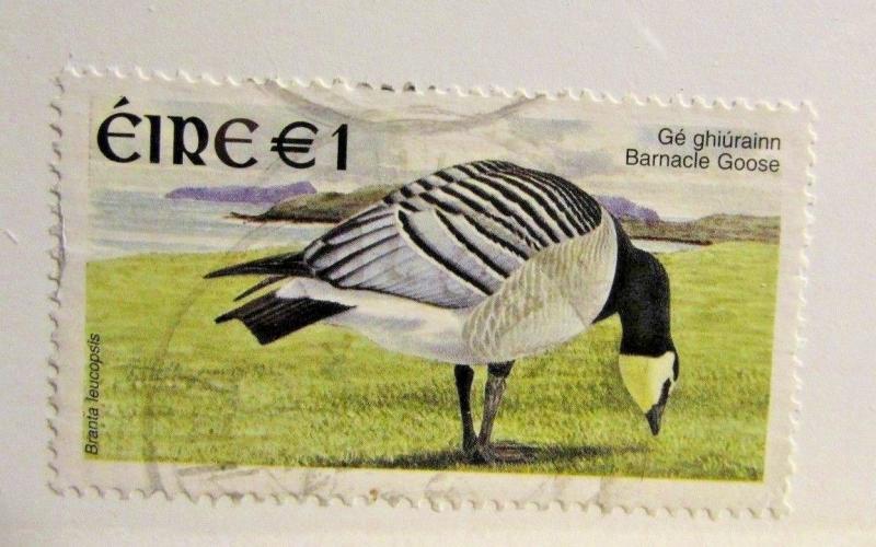 IRELAND Sc #1366 Θ used, bird postage stamp. fine +