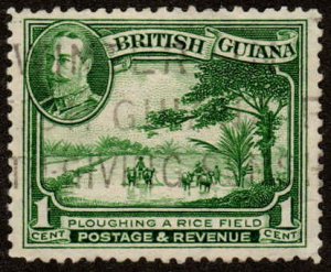 British Guiana  #210  Used   CV $2.25