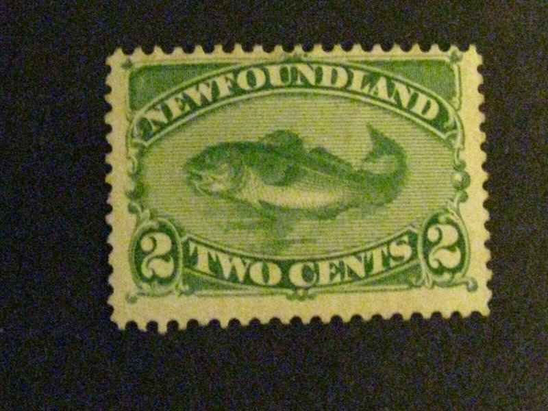 Newfoundland #47 unused no gum a1910.9794