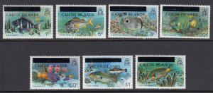 Caicos Islands 1-7 Fish mnh