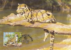 Malaysia 1995 Maxicard Sc #538 20c Clouded leopard WWF