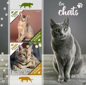 2020/12- CHAD - CATS       2V complet set    MNH ** T