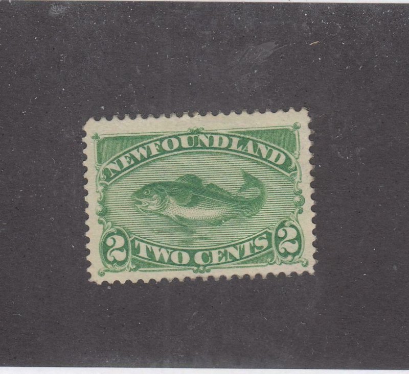 NEWFOUNDLAND  # 46i  VF-MH  2cts  1882 CODFISH / DP YELLOW-GREEN CAT VALUE $150