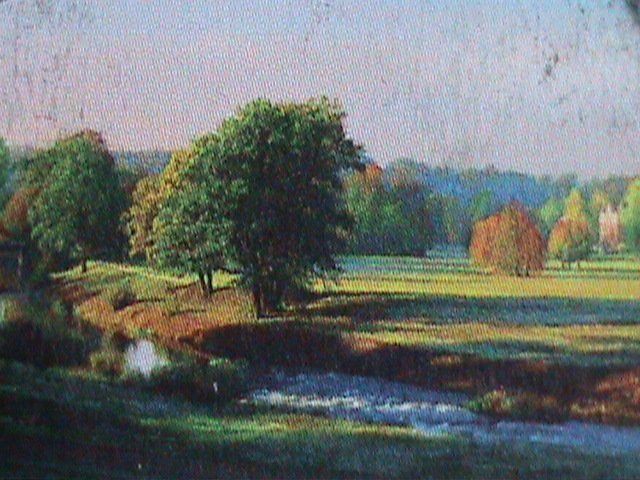 ​POLAND STAMP-BEAUTIFUL  MUSKAUER PARK- POLAND-USED MINI FULL SHEET VERY FINE