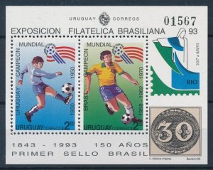 [110518] Uruguay 1993 World Cup USA Football Soccer Souvenir Sheet MNH