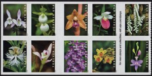 SC#5445-54 (55¢) Wild Orchids Block of Ten (2020) SA