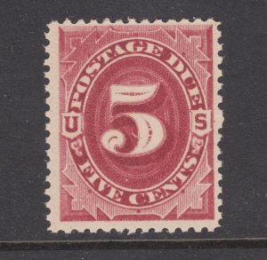 US Sc J25 MNH. 1891 5c bright claret Postage Due, fresh, bright, F-VF.