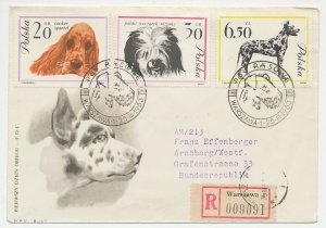 Registered cover / Postmark Poland 1963 Dog 