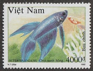 2407,used Democratic Republic of Vietnam