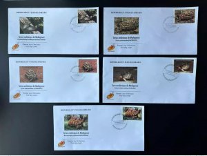 Madagascar 2023 Mi. ? FDC 1st day endemic turtles turtles wildlife reptiles-