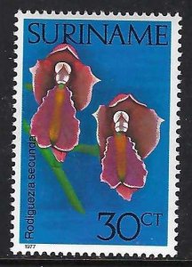Suriname 461 MNH Z9019