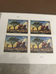 Scott#5347-Joshua Tree Plate Block Of 4/ $7.35 Priority Mail Rate Stamp MNH(NIP)