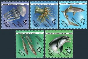 Russia 5954-5958 sheets,MNH.Michel 6158-6162. Marine Life 1991.Dolphin,Fish.