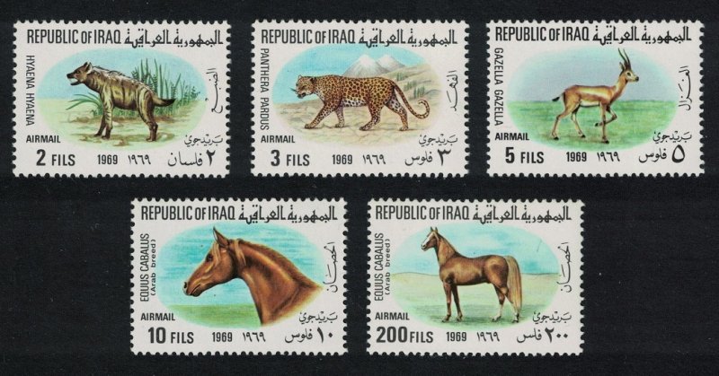 Iraq Horses Leopard Hyena Gazelle Fauna 5v 1969 MNH SG#829-833