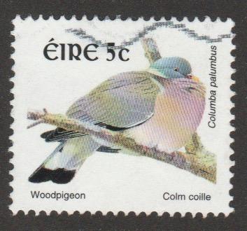 1105 or 1357 Woodpigeon