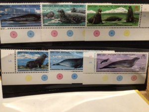 British Antarctic Territory mint never hinged stamps A10440