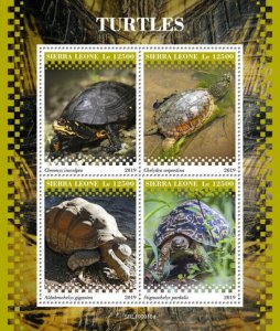 Sierra Leone 2019 MNH Turtles Stamps Reptiles Aldabra Giant Tortoises 4v M/S