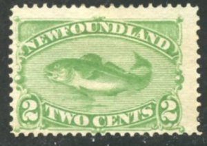 Newfoundland Scott 46 - Unused F-VFLHPG - SCV $70.00