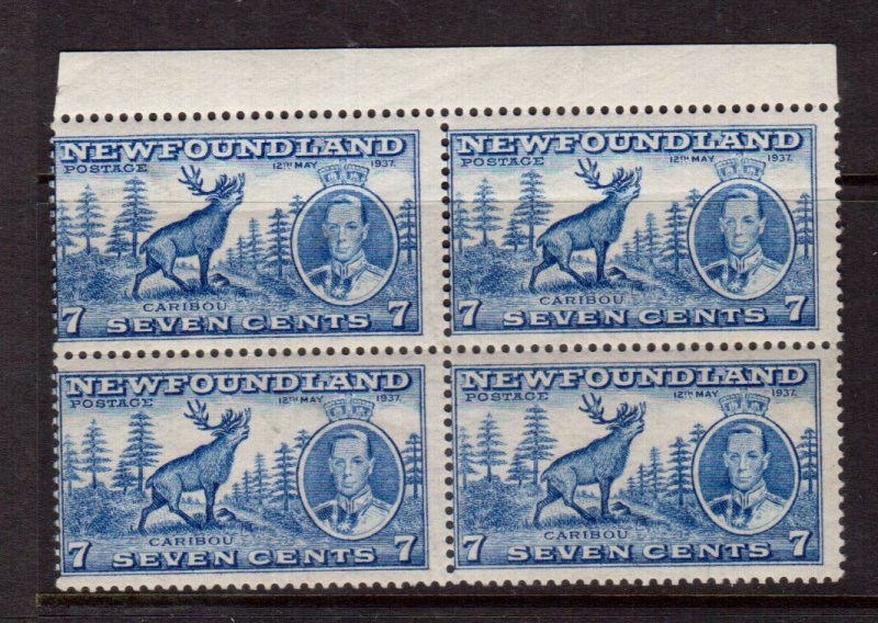 Newfoundland #235a Mint Fine Never Hinged Comb Perf Block 