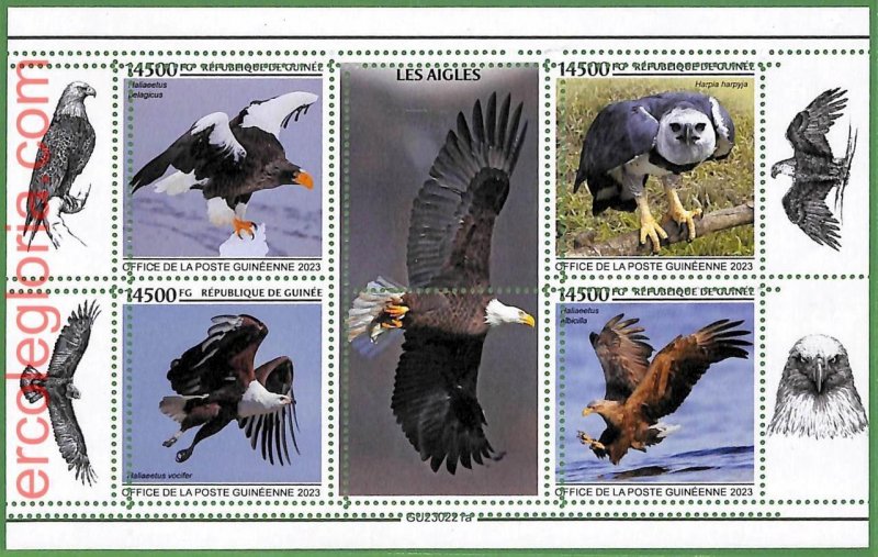 B1562 - GUINEE - ERROR MISPERF Stamp Sheet - 2023 - Birds, EAGLE-