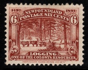 NEWFOUNDLAND SG71 1897 6c RED-BROWN MTD MINT