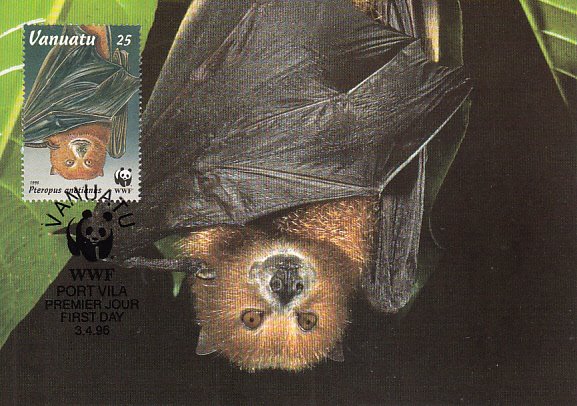 Vanuatu 1996 Maxicard Sc #675 25v Vanuatu flying fox WWF